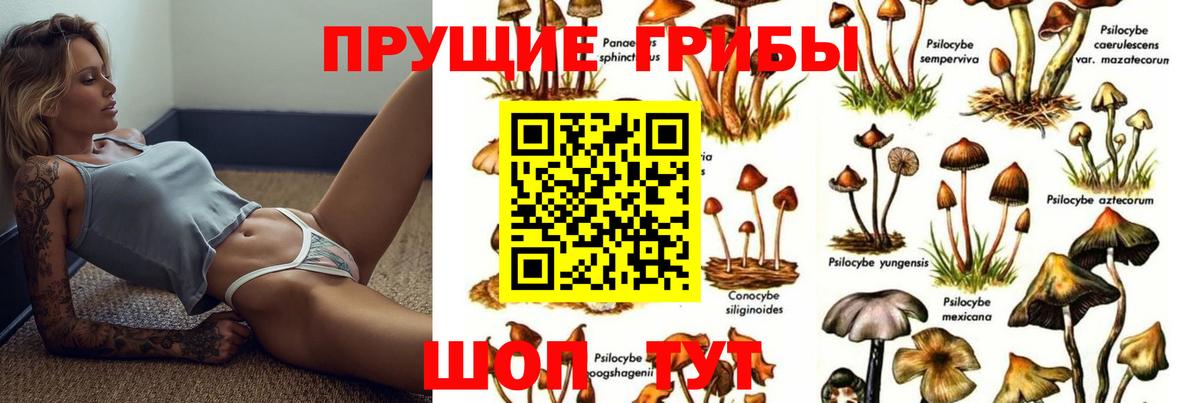 Галлюциногенные грибы Psilocybine cubensis  Вход с VPN  Аша  Галлюциногенные грибы MAGIC MUSHROOMS 
